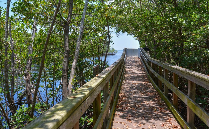 Charlotte Harbor Preserve State Park, Florida, USA
